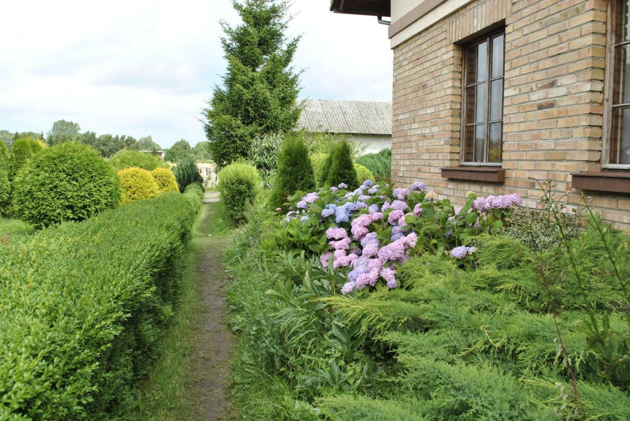 Domek Skandynawski ซาร์บินโนโว ภายนอก รูปภาพ